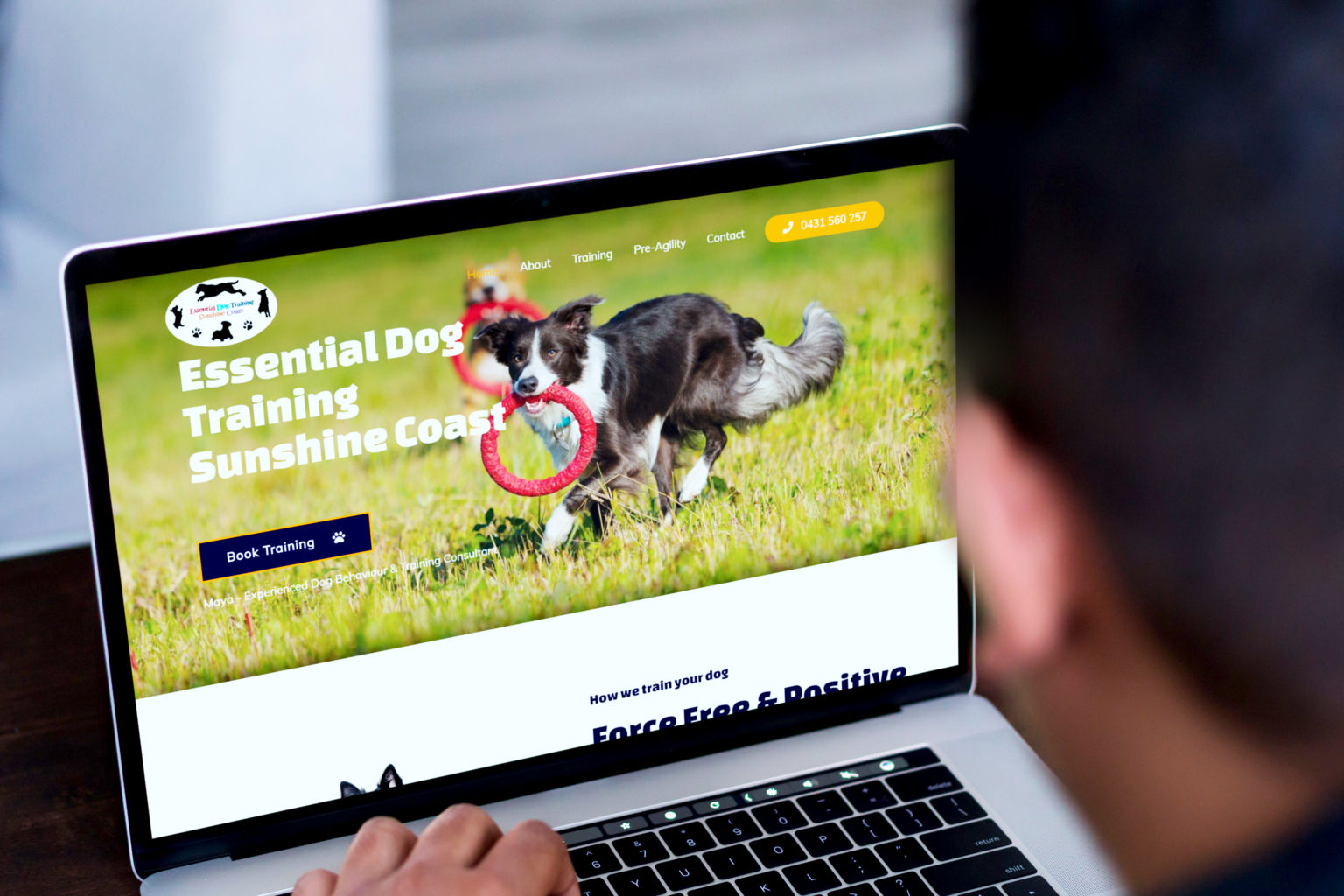 Sunshine Coast SEO Services Dog Trainer