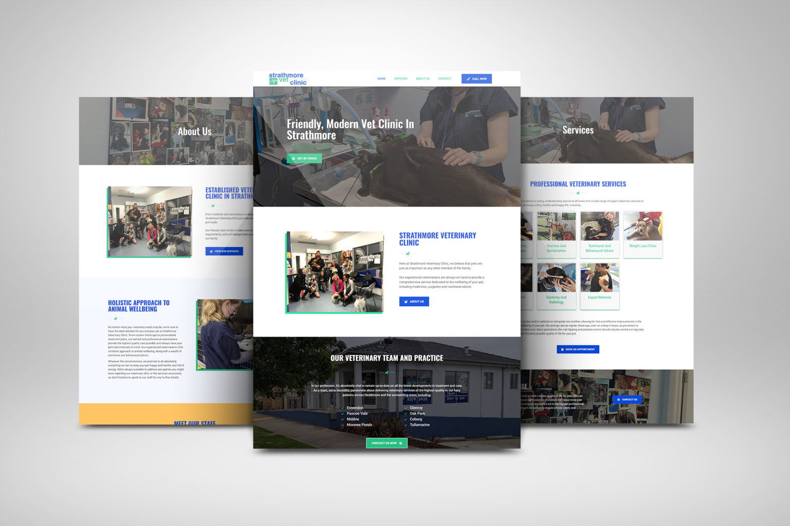 Veterinary Clinic Website Design Sunshine Coast