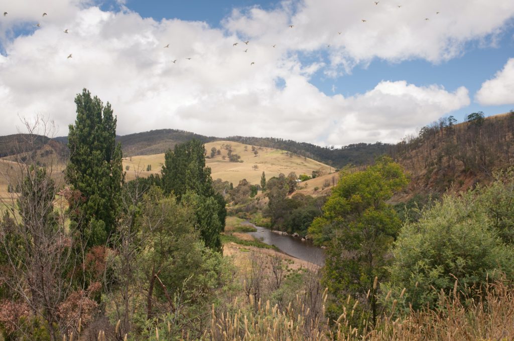 Tambo river viewed from the great alpine road, Victoria, Australia