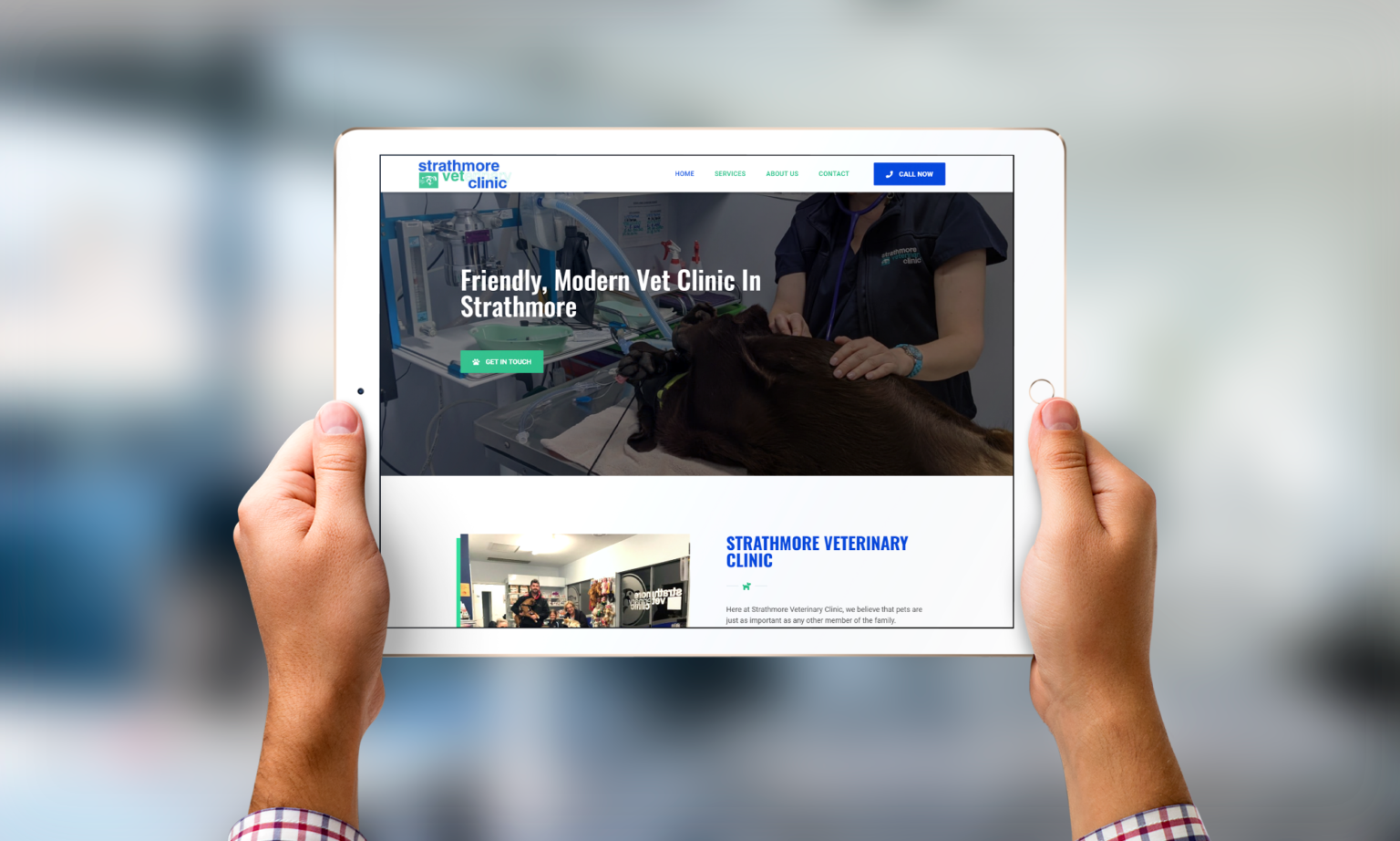 Veterinary Clinic Melbourne DIGITALON SEO Services