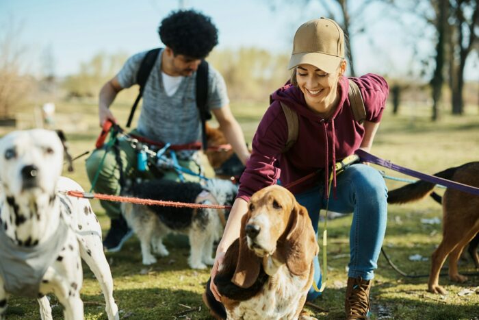 Happy pet sitters and dogs enjoying in a walk in the park.