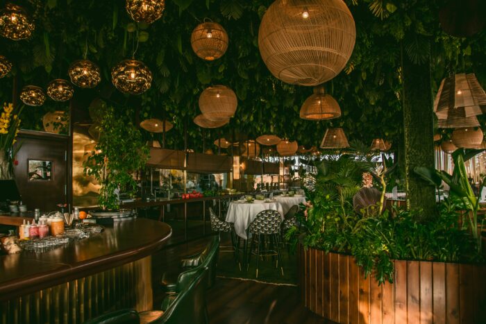 Bar with a bunch of plants hanging from the ceiling