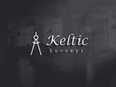 digitalon web design portfolio keltic surveys