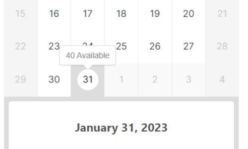 Online Booking System