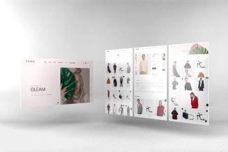 Premium eCommerce website development packages