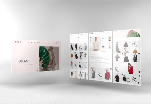 Premium eCommerce website development packages